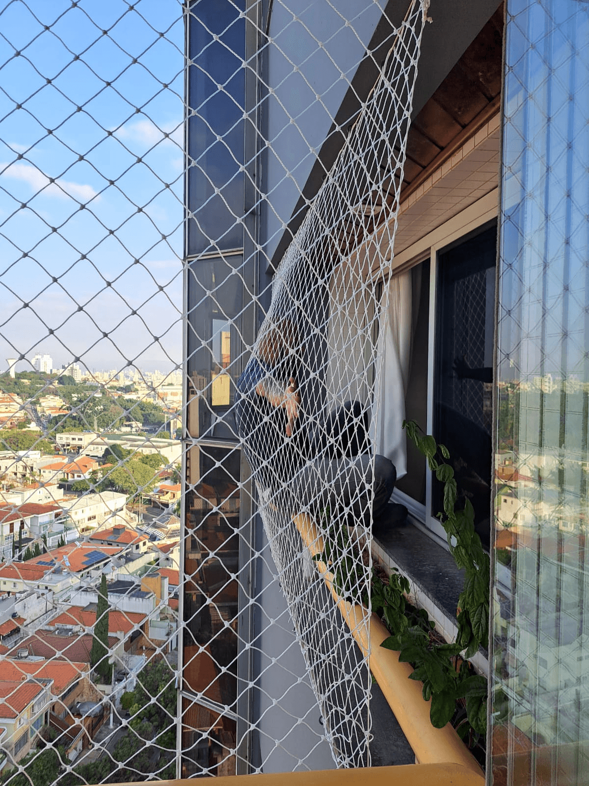 Segurança na sua Janela